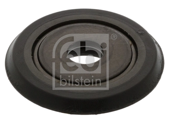 Rolling Bearing, suspension strut support mount